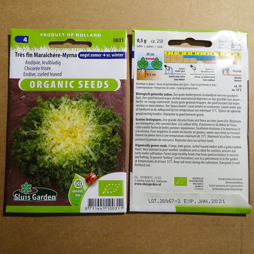 Ejemplo de ejemplar de Achicoria de Bruselas Myrna Bio saco de 250 semillas (0.5g) tal y como se entrega