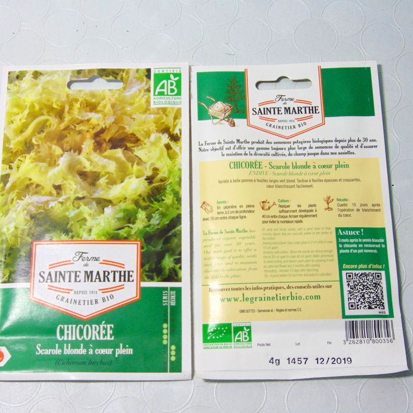 Ejemplo de ejemplar de Escarola Blonde à Coeur Plein Bio - Ferme de Sainte Marthe saco de 2500 semillas (4g) tal y como se entrega