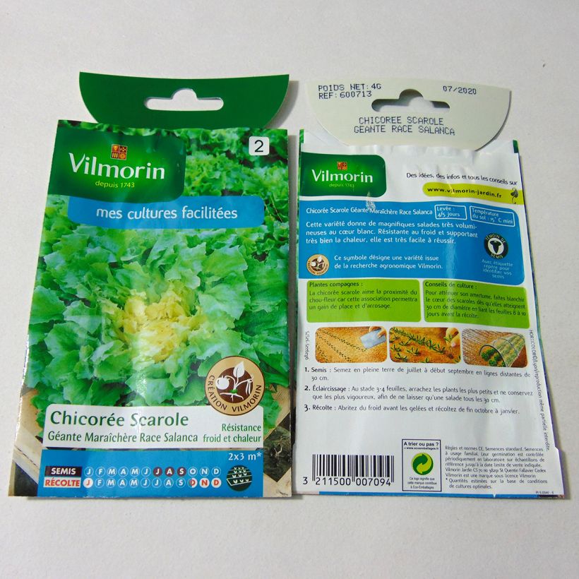 Ejemplo de ejemplar de Escarola Géante maraîchère race Salanca saco de 2400 semillas (4g) tal y como se entrega