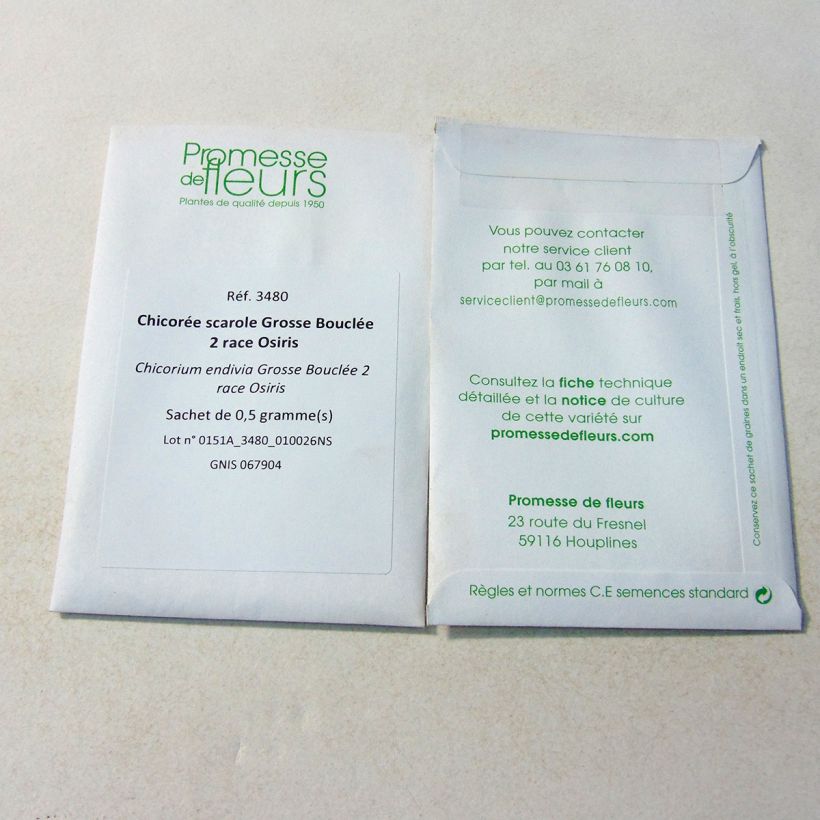 Ejemplo de ejemplar de Escarola Grosse Bouclée 2 race Osiris saco de 300 semillas (0.5g) tal y como se entrega