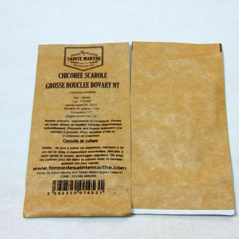 Ejemplo de ejemplar de Escarola Grosse Bouclée Bovary NT saco de 500 semillas tal y como se entrega