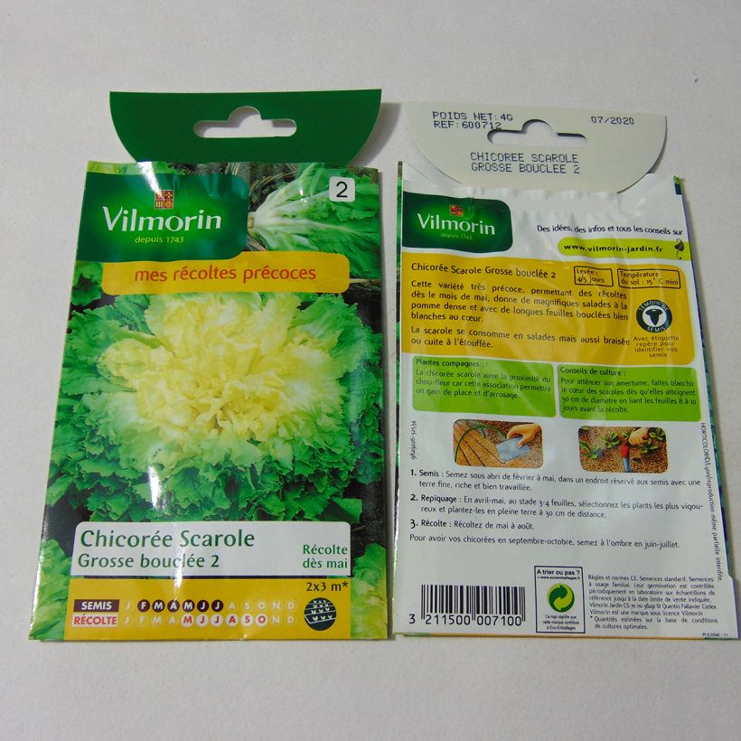 Ejemplo de ejemplar de Escarola Grosse bouclée 2 saco de 2400 semillas (4g) tal y como se entrega