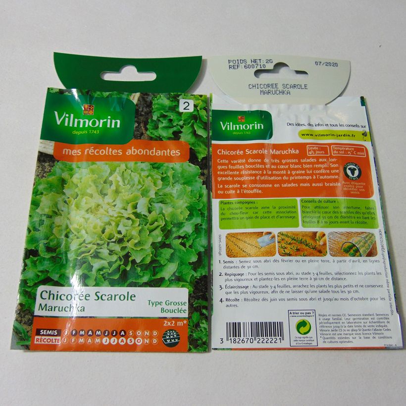 Ejemplo de ejemplar de Escarola Maruschka saco de 1200 semillas (2g) tal y como se entrega