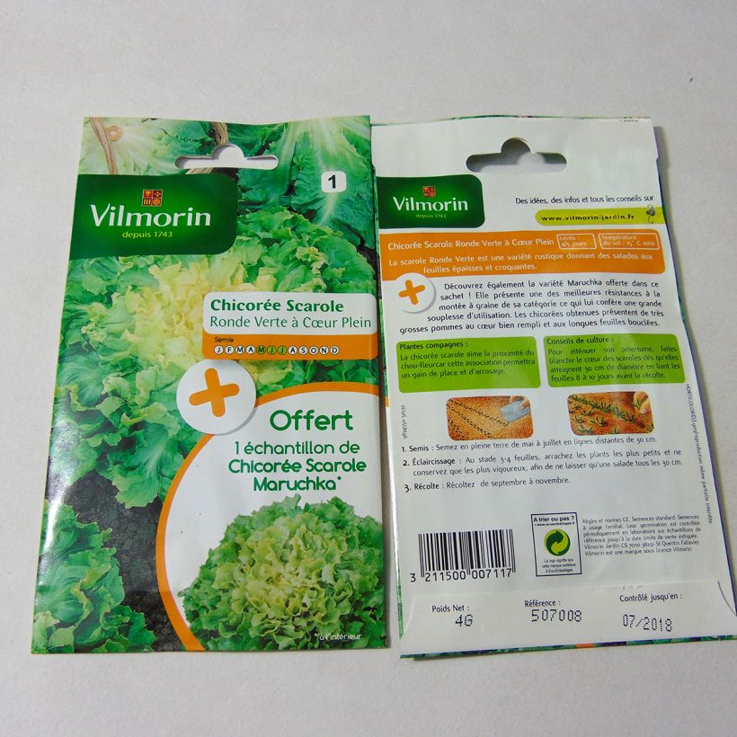 Ejemplo de ejemplar de Escarola Ronde verte à cœur plein Mix saco de 2400 semillas (4g) tal y como se entrega