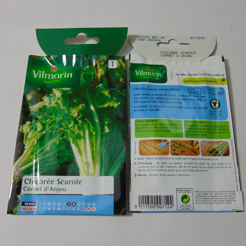 Ejemplo de ejemplar de Escarola Cornet d'Anjou - Vilmorin saco de 2400 semillas (4g) tal y como se entrega