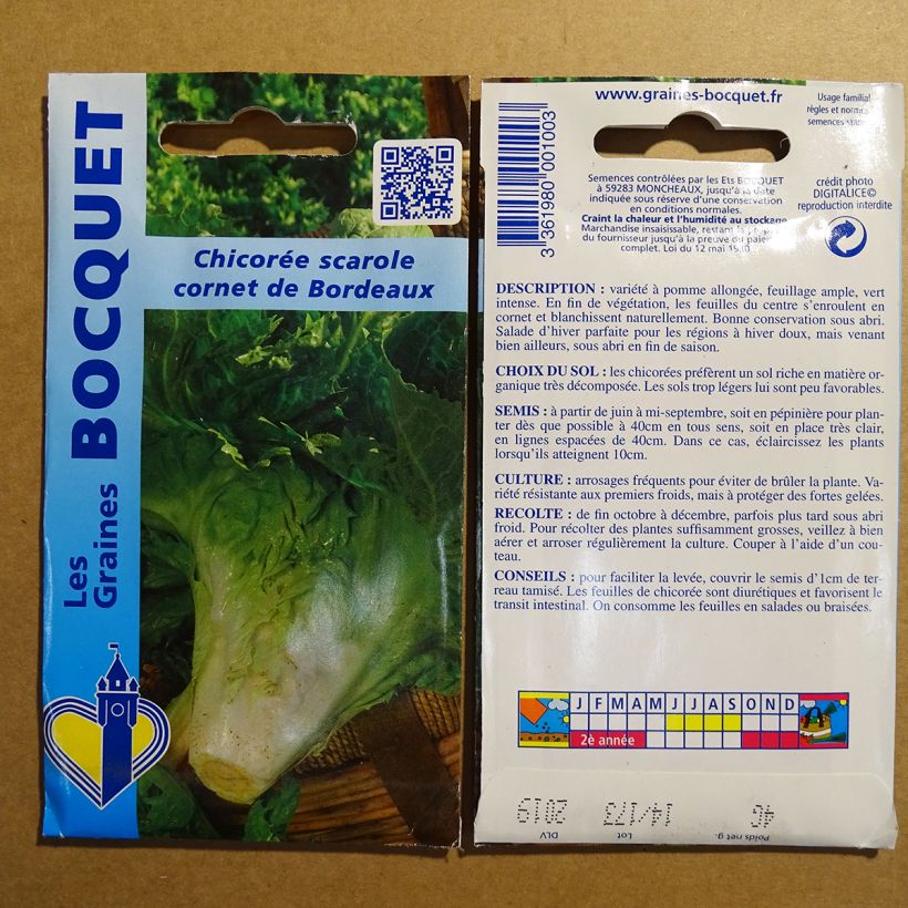 Ejemplo de ejemplar de Escarola Cornet de Bordeaux saco de 1800 semillas (3g) tal y como se entrega