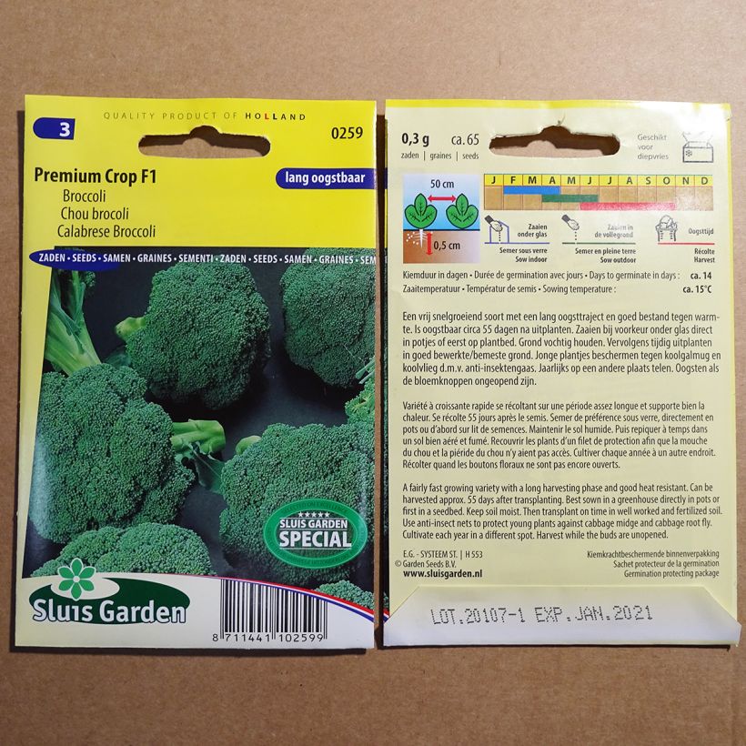 Ejemplo de ejemplar de Brócoli Premium Crop F1 saco de 65 semillas tal y como se entrega