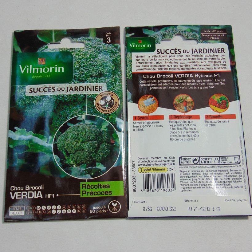 Ejemplo de ejemplar de Brócoli Verdia F1 - Vilmorin saco de 200 semillas (0.5g) tal y como se entrega