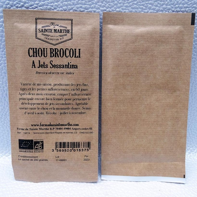 Ejemplo de ejemplar de Brócoli Sessantina saco de 200 semillas tal y como se entrega