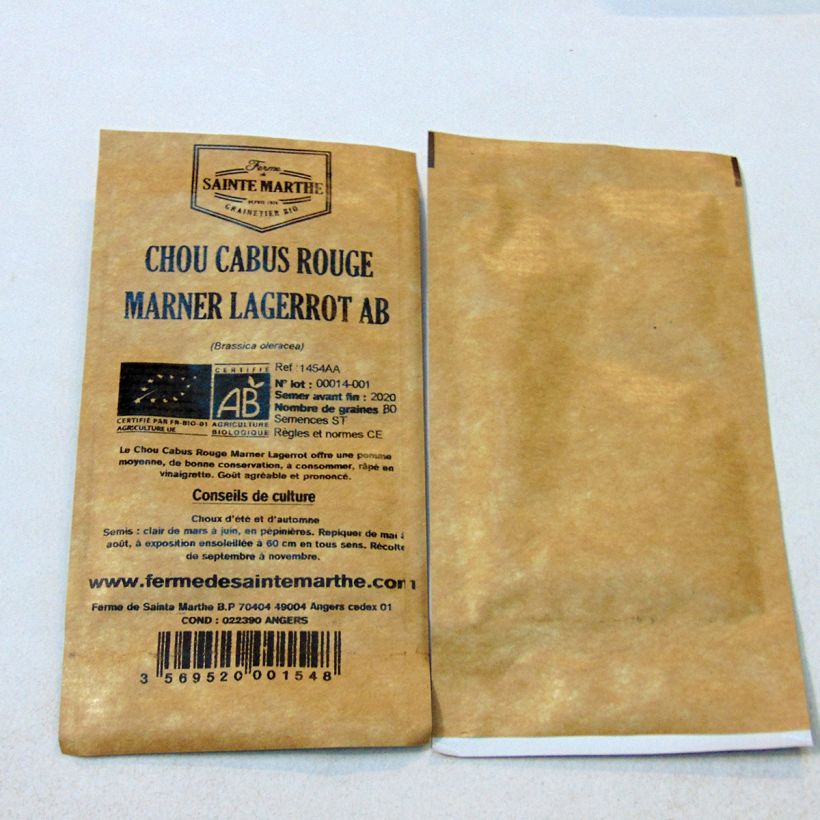 Ejemplo de ejemplar de Repollo rojo Marner Lagerrot saco de 80 semillas tal y como se entrega