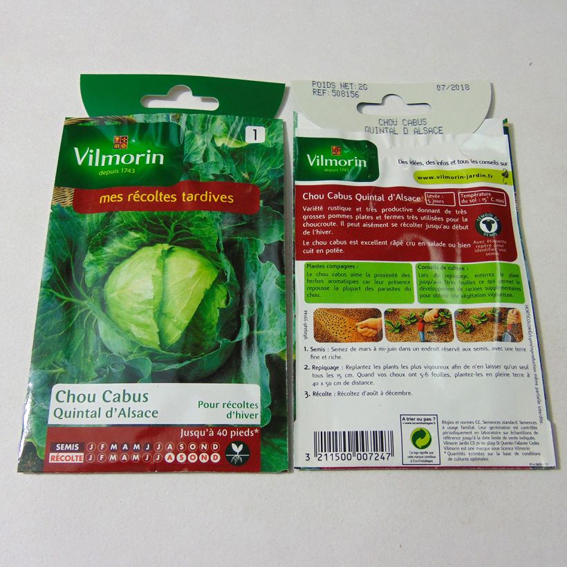 Ejemplo de ejemplar de Repollo Quintal d'Alsace - Vilmorin saco de 800 semillas (2g) tal y como se entrega