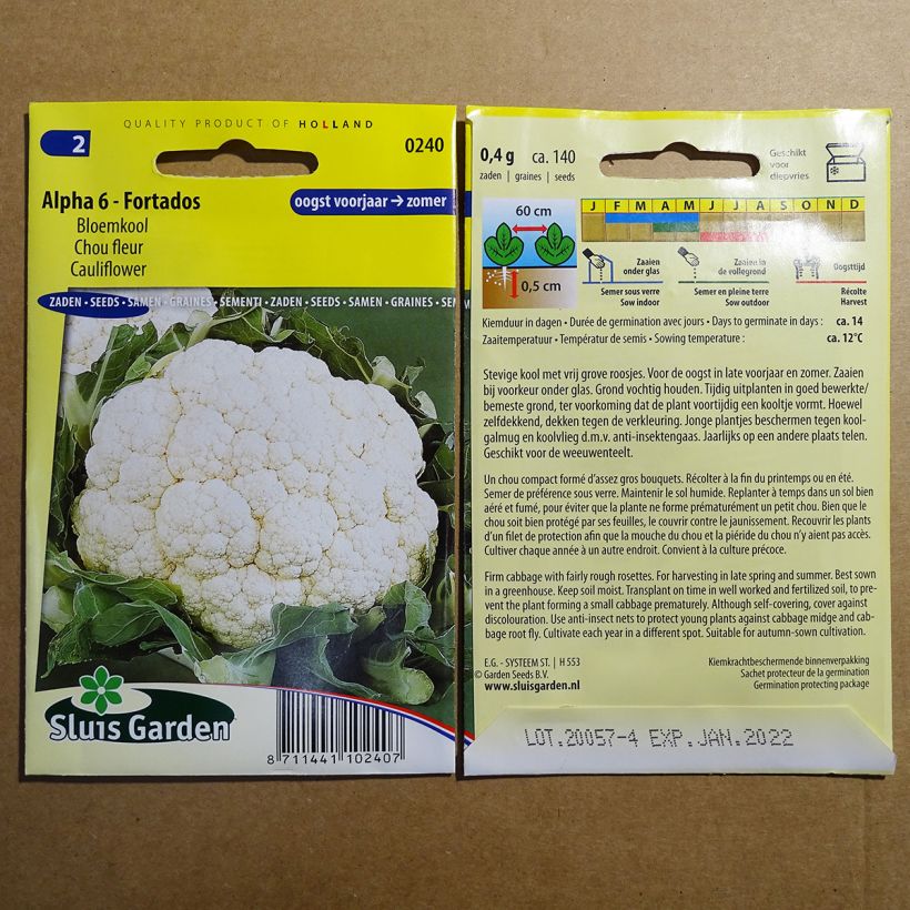 Ejemplo de ejemplar de Coliflor Alpha 6 Fortados saco de 140 semillas tal y como se entrega