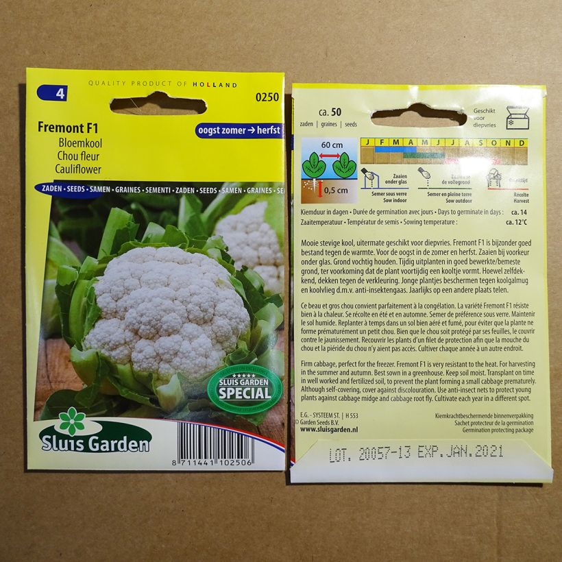 Ejemplo de ejemplar de Coliflor Fremont F1 saco de 50 semillas tal y como se entrega