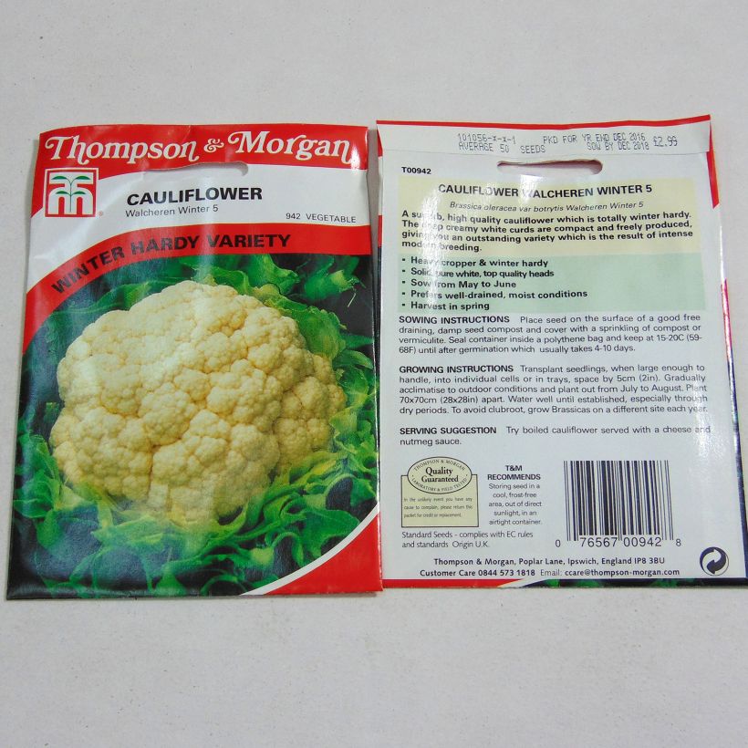 Ejemplo de ejemplar de Coliflor Walcheren Winter 5 saco de 50 semillas tal y como se entrega