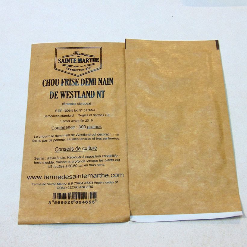 Ejemplo de ejemplar de Col crespa sabellica demi-nain Westland saco de 300 semillas (1g) tal y como se entrega