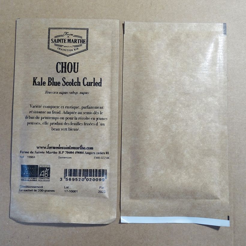Ejemplo de ejemplar de Col crespa Blue Scotch Curled saco de 250 semillas (1g) tal y como se entrega