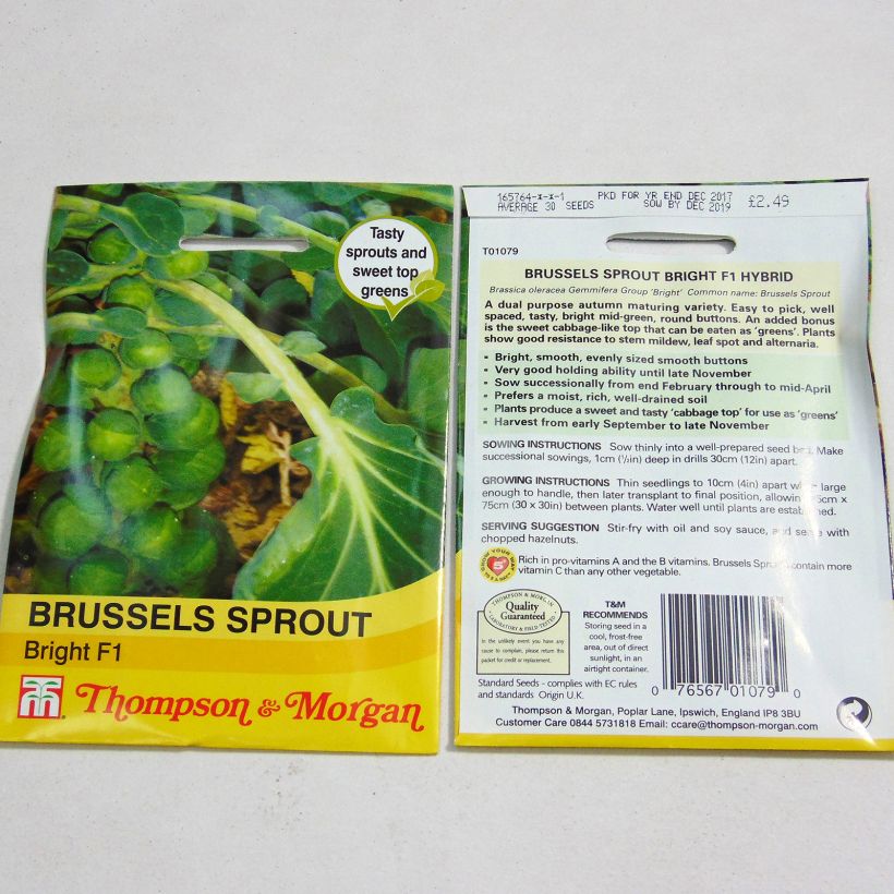 Ejemplo de ejemplar de Col de Bruselas Bright F1 saco de 30 semillas tal y como se entrega