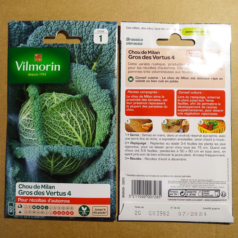 Ejemplo de ejemplar de Col de Milan Gros des Vertus - Vilmorin saco de 800 semillas (2g) tal y como se entrega