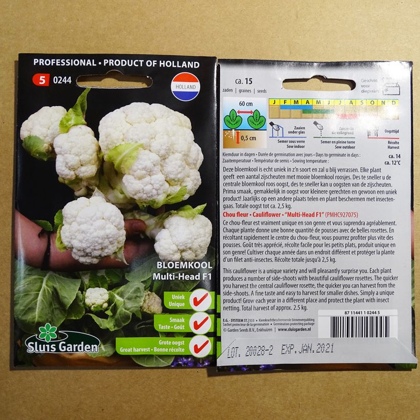 Ejemplo de ejemplar de Coliflor Multi-head F1 saco de 15 semillas tal y como se entrega