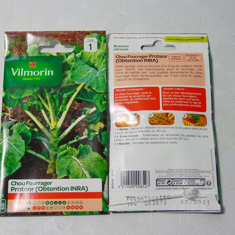 Ejemplo de ejemplar de Col forrajera Proteor - Vilmorin saco de 4000 semillas (10g) tal y como se entrega