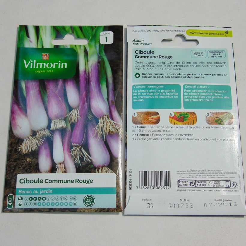 Ejemplo de ejemplar de Cebolla roja - Vilmorin saco de 1400 semillas (3g) tal y como se entrega