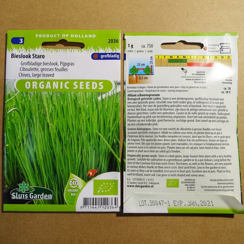 Ejemplo de ejemplar de Cebollino Staro Bio saco de 750 semillas (1g) tal y como se entrega