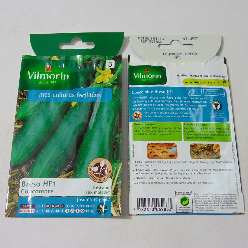 Ejemplo de ejemplar de Pepino Breso F1 saco de 35 semillas (1g) tal y como se entrega