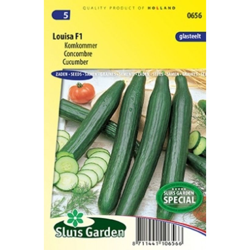 Ejemplo de ejemplar de Pepino Louisa F1 saco de 7 semillas tal y como se entrega