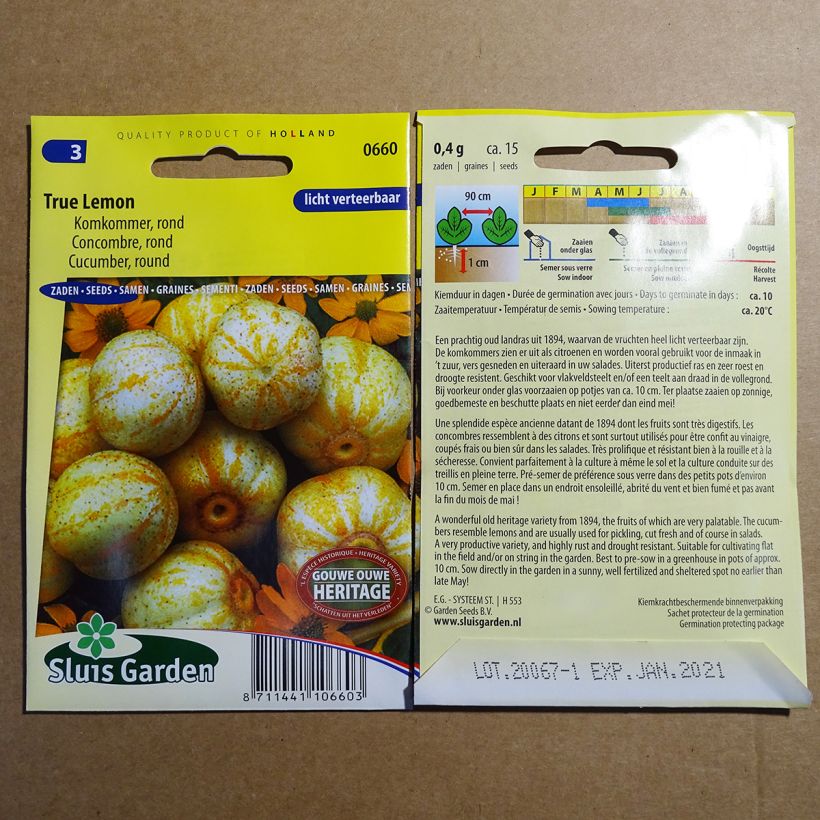 Ejemplo de ejemplar de Pepino True Lemon saco de 15 semillas (0.4g) tal y como se entrega