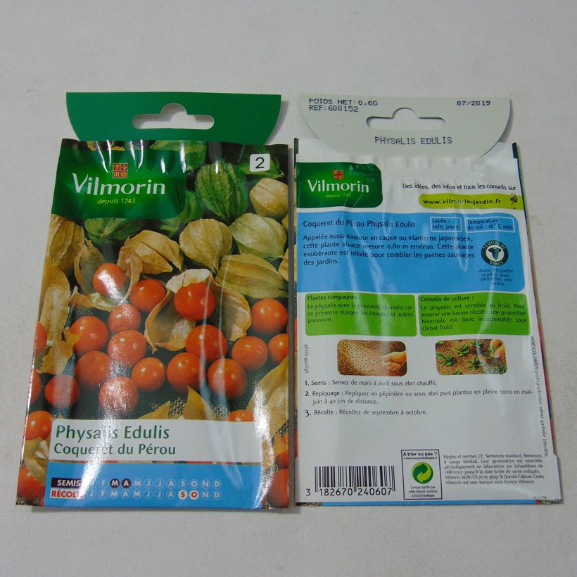 Ejemplo de ejemplar de Aguaymanto - Physalis edulis saco de 0.6 gramos de semillas tal y como se entrega