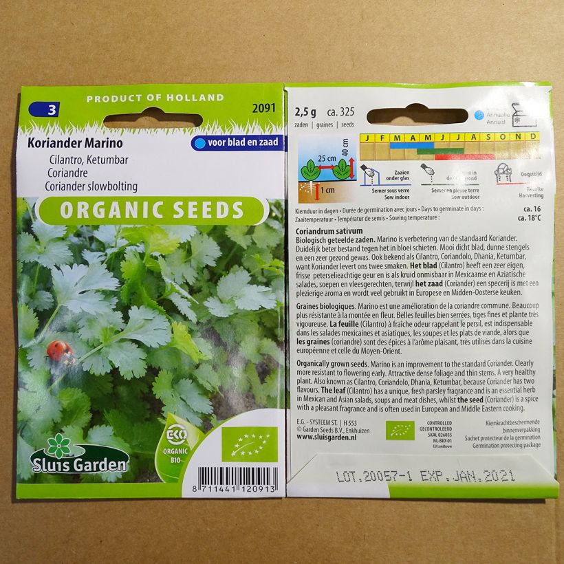 Ejemplo de ejemplar de Cilantro Marino - Bio saco de 325 semillas (2g) tal y como se entrega