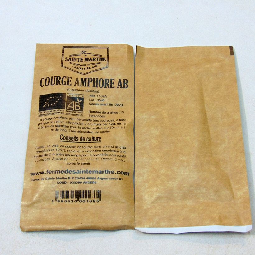 Ejemplo de ejemplar de Porongo Amphore saco de 15 semillas (3g) tal y como se entrega