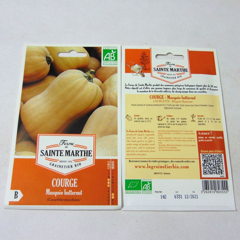 Ejemplo de ejemplar de Calabacita amarilla Musquée Butternut saco de 10 semillas (1.2g) tal y como se entrega