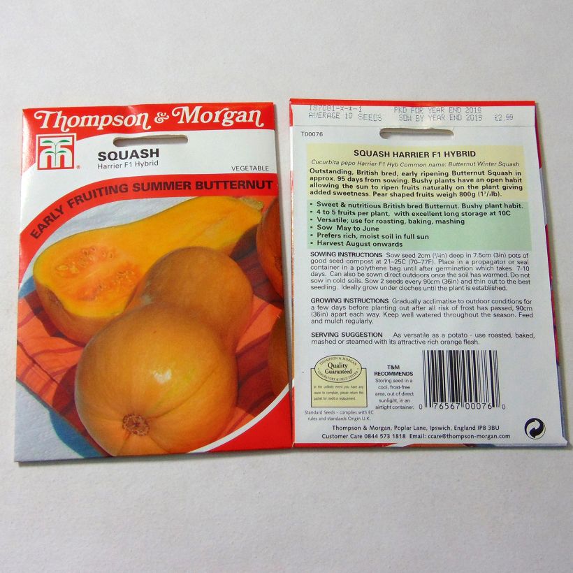 Ejemplo de ejemplar de Calabacita amarilla Butternut Harrier F1 saco de 10 semillas tal y como se entrega