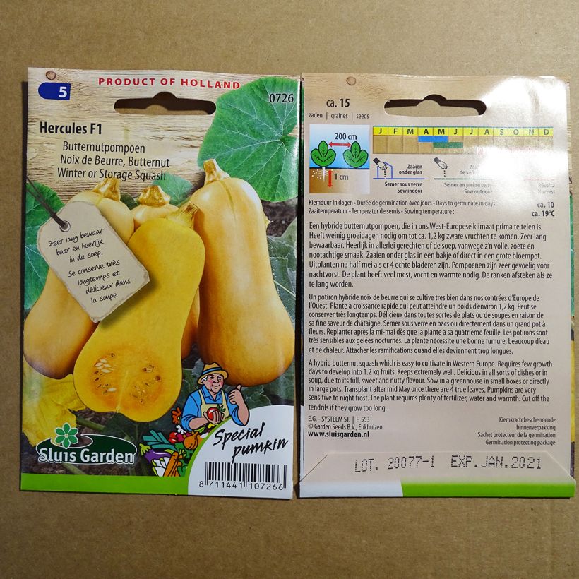 Ejemplo de ejemplar de Calabacita amarilla Hercules F1 saco de 15 semillas (5g) tal y como se entrega