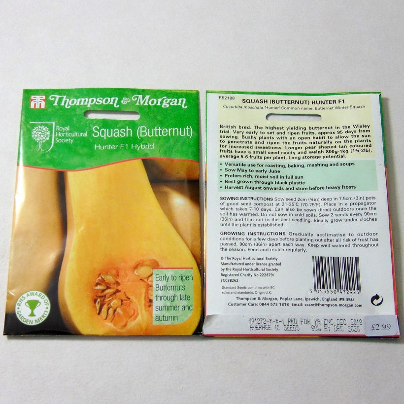 Ejemplo de ejemplar de Calabacita amarilla Butternut Hunter F1 saco de 12 semillas tal y como se entrega