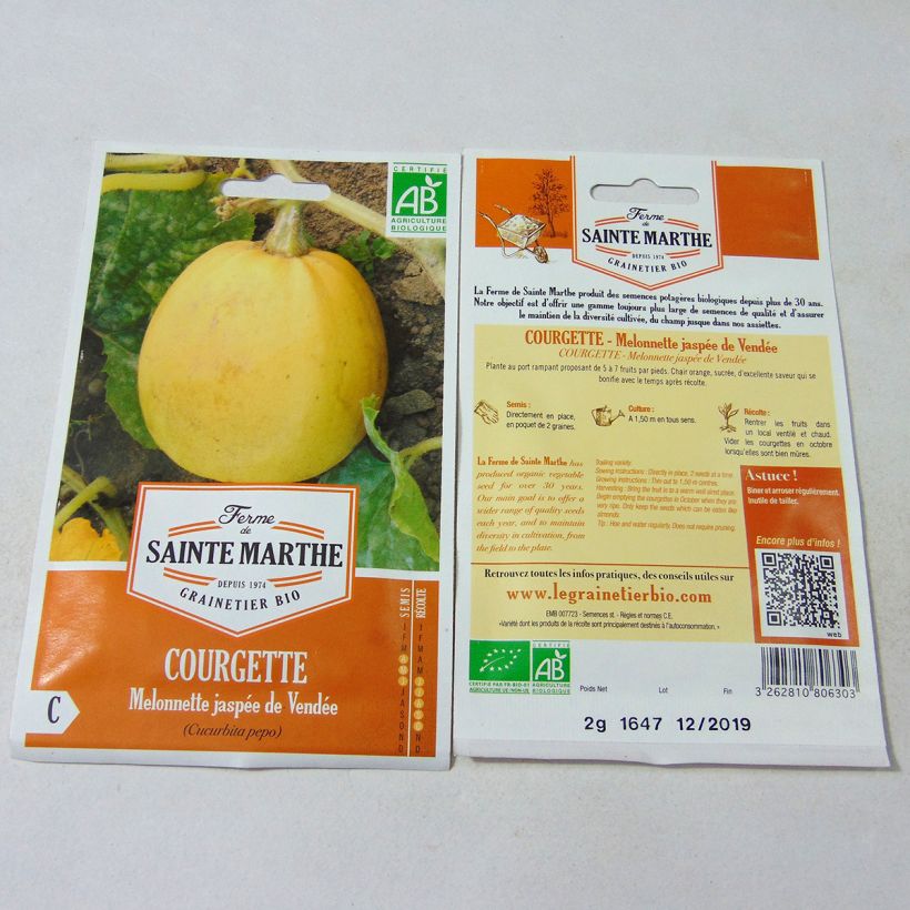 Ejemplo de ejemplar de Calabacín Melonnette Jaspée de Vendée saco de 10 semillas (2g) tal y como se entrega
