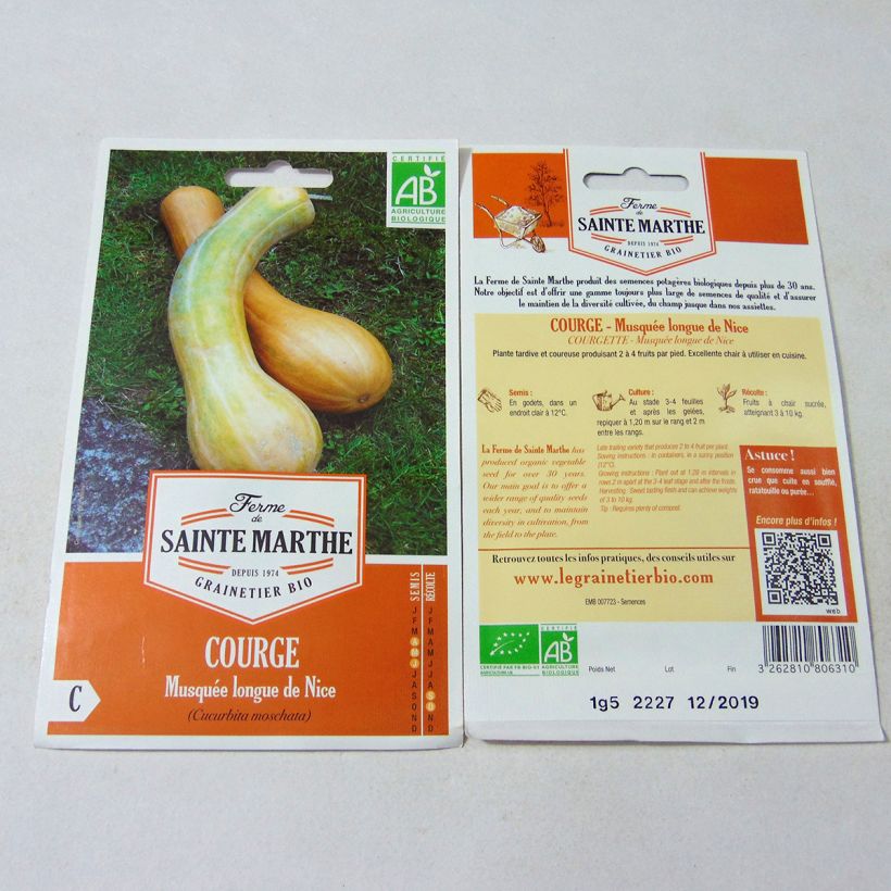 Ejemplo de ejemplar de Calabacita amarilla Musquée Longue de Nice saco de 15 semillas (1,5g) tal y como se entrega
