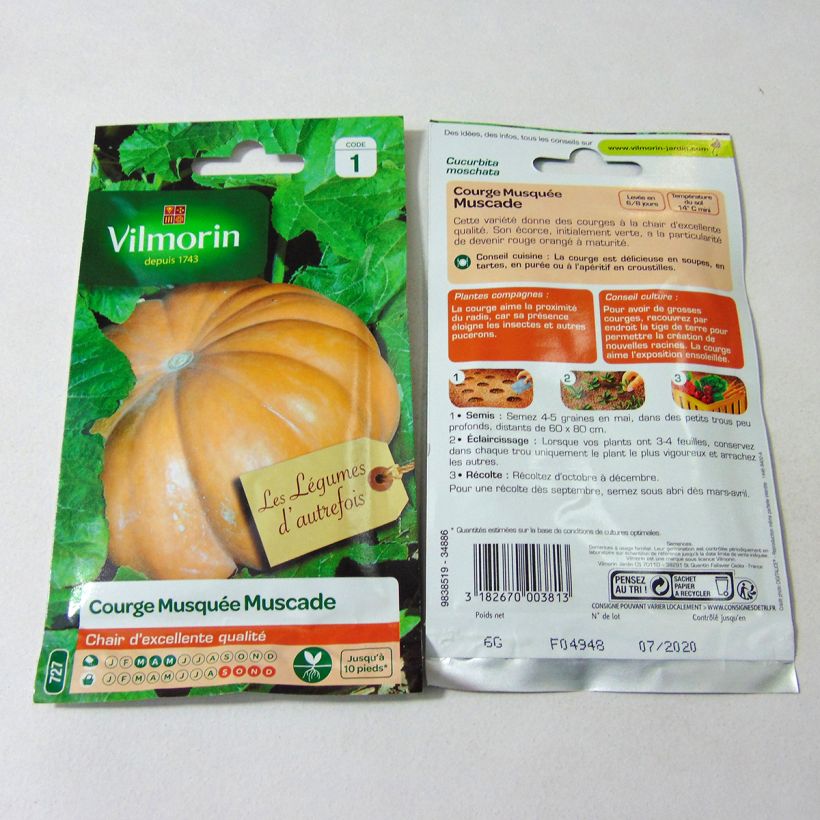 Ejemplo de ejemplar de Calabacita amarilla Musquée d'hiver de Provence - Vilmorin saco de 35 semillas (6g) tal y como se entrega
