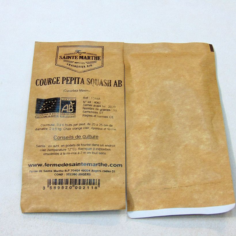Ejemplo de ejemplar de Calabaza Pepita Squash saco de 20 semillas (6g) tal y como se entrega