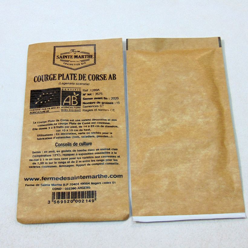 Ejemplo de ejemplar de Porongo Plate de Corse saco de 15 semillas (2g) tal y como se entrega