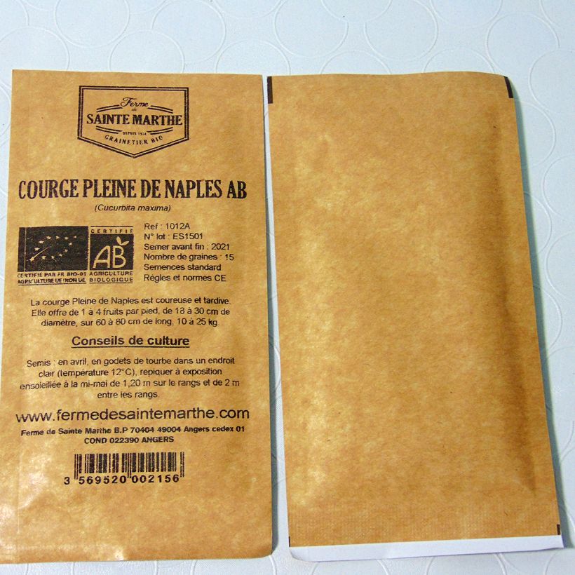 Ejemplo de ejemplar de Calabacita amarilla Pleine de Naples Bio - Ferme de Sainte Marthe saco de 15 semillas (2g) tal y como se entrega
