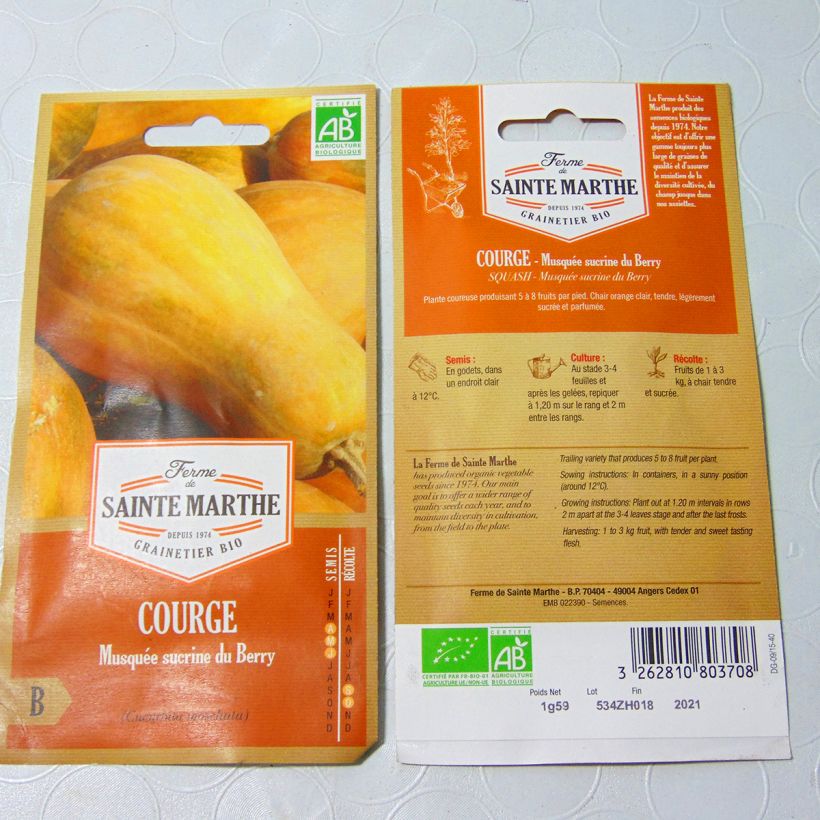 Ejemplo de ejemplar de Calabacita amarilla Musquée Sucrine du Berry saco de 8 semillas (1.2g) tal y como se entrega