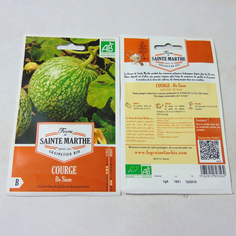 Ejemplo de ejemplar de Chilacayote - Cucurbita ficifolia saco de 8 semillas (1,8g) tal y como se entrega