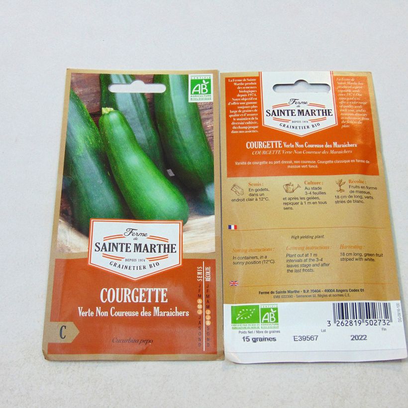 Ejemplo de ejemplar de Calabacín Verte non coureuse Bio - Ferme de Sainte Marthe saco de 15 semillas (1g) tal y como se entrega