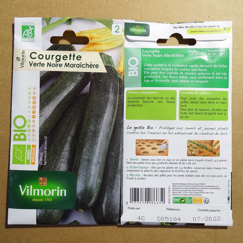 Ejemplo de ejemplar de Calabacín verde o negro Bio - Vilmorin saco de 40 semillas (4g) tal y como se entrega