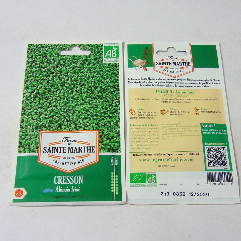 Ejemplo de ejemplar de Mastuerzo Alénois Frisé saco de 1000 semillas (2.3g) tal y como se entrega