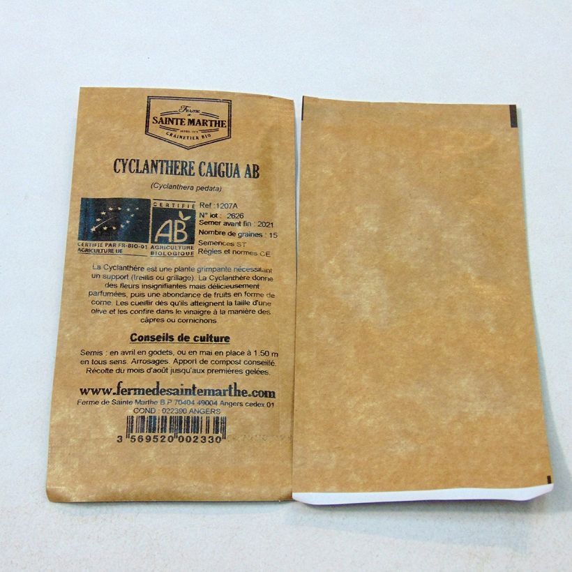 Ejemplo de ejemplar de Caigua Caigua - Cyclanthera pedata saco de 15 semillas (1g) tal y como se entrega