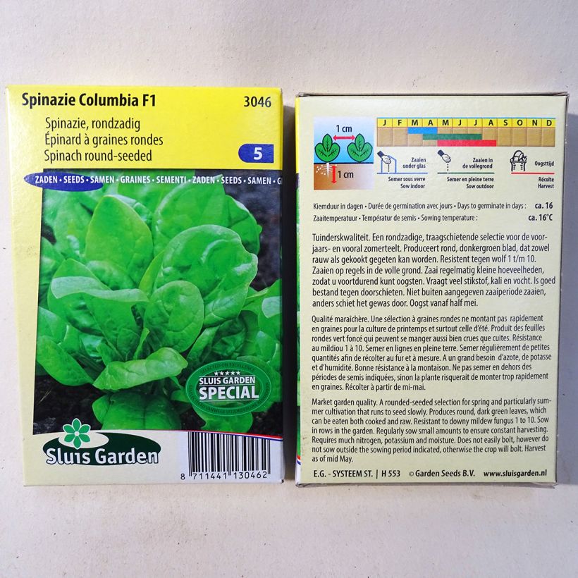 Ejemplo de ejemplar de Jambú Columbia F1 saco de 6500 semillas (65g) tal y como se entrega