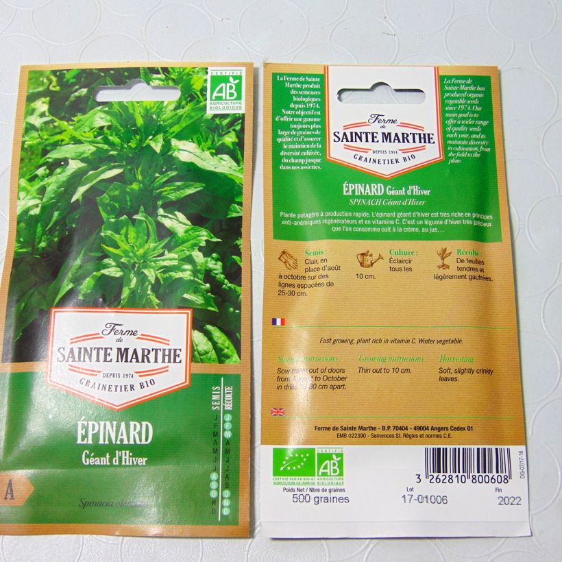 Ejemplo de ejemplar de Jambú Géant d'Hiver - Ferme de Sainte Marthe saco de 450 semillas (5.7g) tal y como se entrega